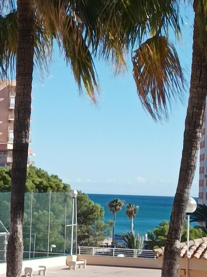 Ferienwohnung Almar Collection Cullera Bahia Park Exterior foto
